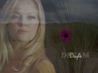 Doyle 3